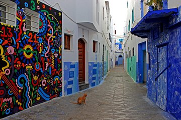Marrakech Best Trips