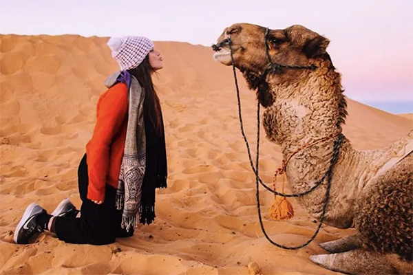 3 day marrakech to fes