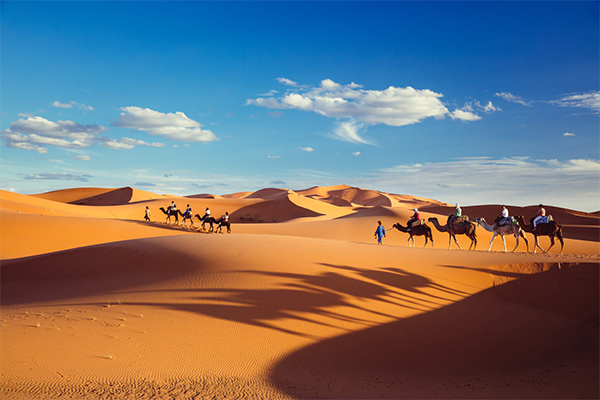 Desert Tour from Casablanca2 2