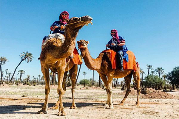 Marrakech Best Trips