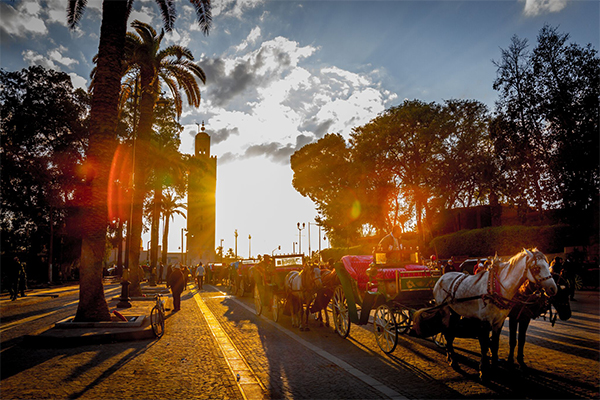 Marrakech Best Trips