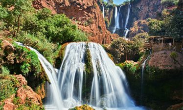 Marrakech Best Trips